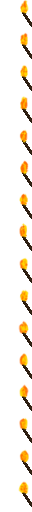 default_torch_animated.png